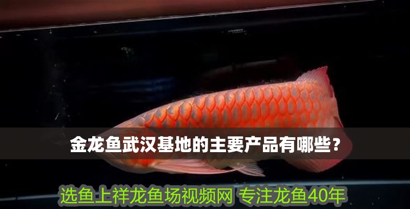 金龍魚武漢基地的主要產品有哪些？