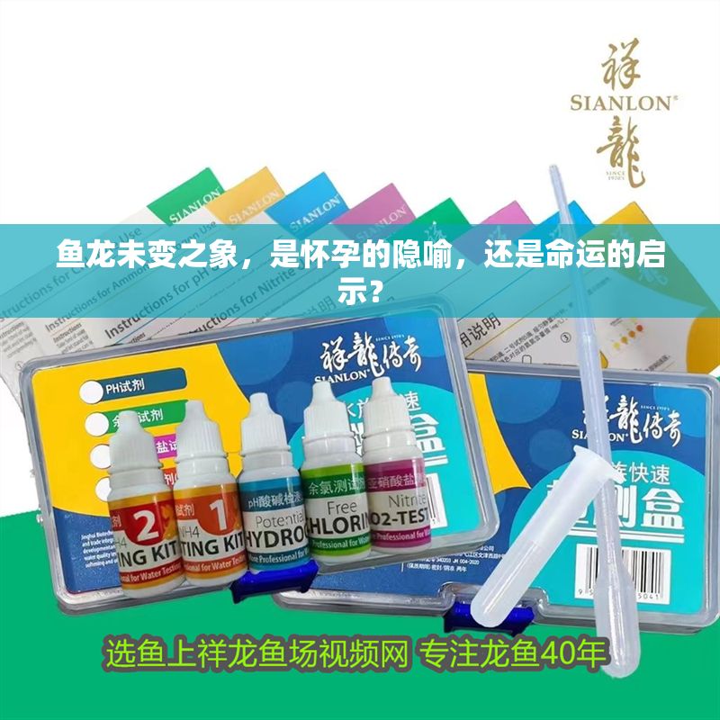 魚龍未變之象，是懷孕的隱喻，還是命運的啟示？