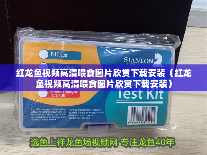 紅龍魚(yú)視頻高清喂食圖片欣賞下載安裝（紅龍魚(yú)視頻高清喂食圖片欣賞下載安裝）