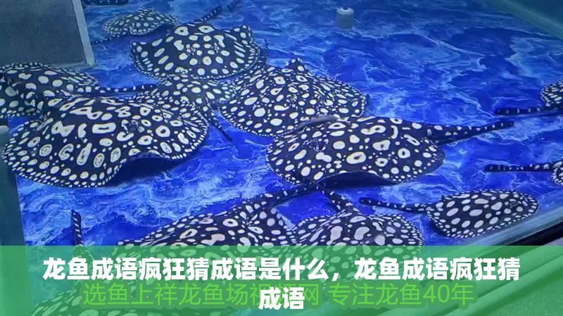 龍魚成語瘋狂猜成語是什么，龍魚成語瘋狂猜成語