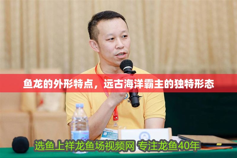 魚龍的外形特點，遠古海洋霸主的獨特形態