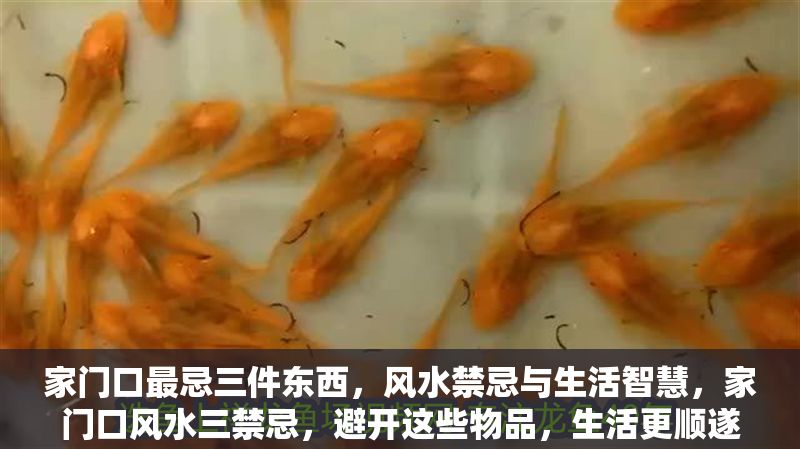 家門(mén)口最忌三件東西，風(fēng)水禁忌與生活智慧，家門(mén)口風(fēng)水三禁忌，避開(kāi)這些物品，生活更順?biāo)? title=