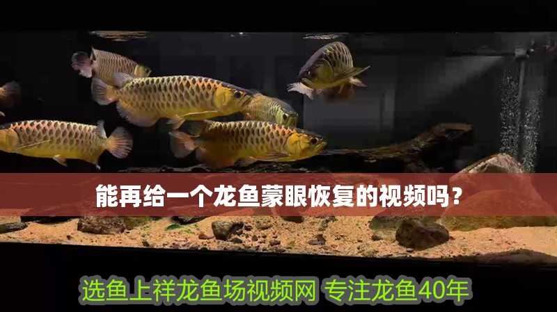 魚(yú)缸過(guò)濾器選購(gòu)指南:自制魚(yú)缸過(guò)濾器魚(yú)缸上置過(guò)濾器對(duì)于養(yǎng)魚(yú)愛(ài)好者的必備知識(shí) 能再給一個(gè)龍魚(yú)蒙眼恢復(fù)的視頻嗎? 龍魚(yú)百科 能再給一個(gè)龍魚(yú)蒙眼恢復(fù)的視頻嗎? 能再給一個(gè)龍魚(yú)蒙眼恢復(fù)的視頻嗎? 龍魚(yú)百科