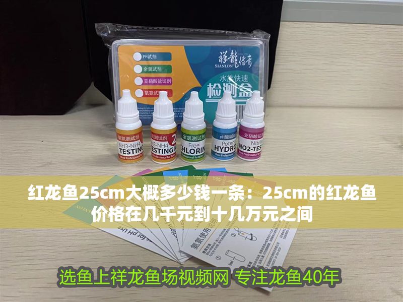 紅龍魚25cm大概多少錢一條：25cm的紅龍魚價格在幾千元到十幾萬元之間