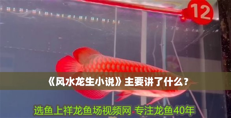 《風水龍生小說》主要講了什么？