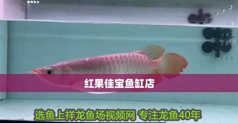 紅果佳寶魚缸店