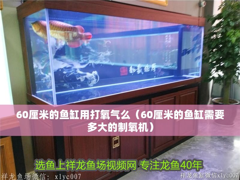 60厘米的魚缸用打氧氣么（60厘米的魚缸需要多大的制氧機）