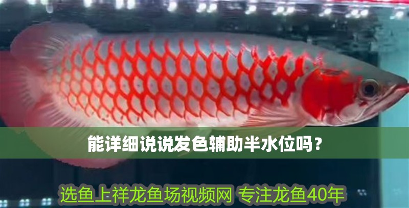 能詳細(xì)說說發(fā)色輔助半水位嗎？ 能詳細(xì)說說發(fā)色輔助半水位嗎？ 龍魚百科