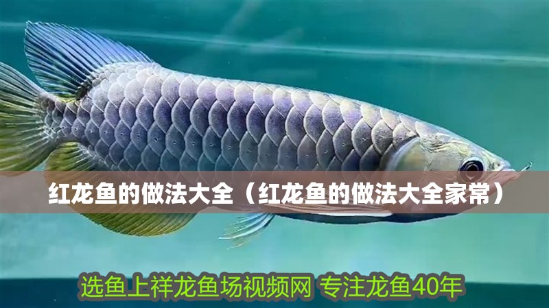 紅龍魚的做法大全（紅龍魚的做法大全家常）