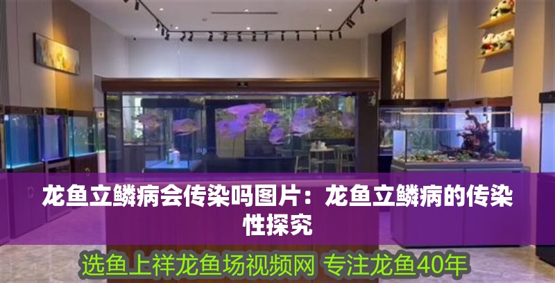 龍魚立鱗病會傳染嗎圖片：龍魚立鱗病的傳染性探究