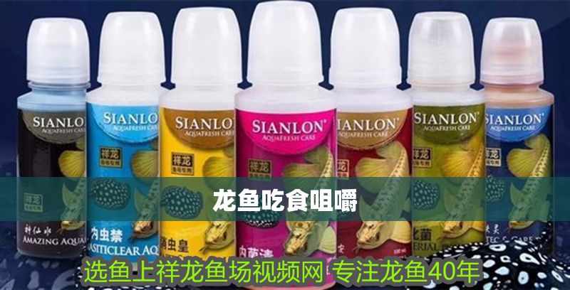 龍魚吃食咀嚼 龍魚百科 第2張 龍魚吃食咀嚼 龍魚吃食咀嚼 龍魚百科 第2張