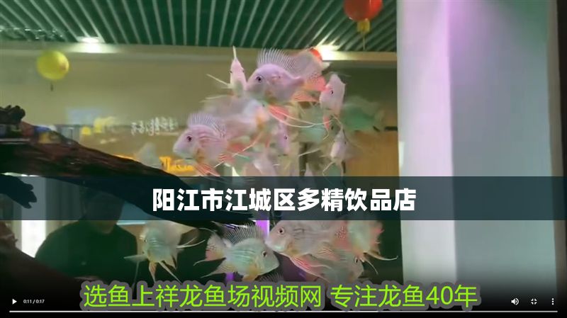 陽江市江城區多精飲品店