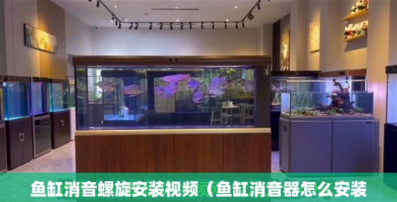 魚缸消音螺旋安裝視頻（魚缸消音器怎么安裝）
