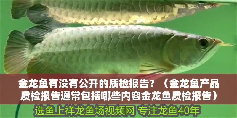 金龍魚有沒有公開的質(zhì)檢報(bào)告？（金龍魚產(chǎn)品質(zhì)檢報(bào)告通常包括哪些內(nèi)容金龍魚質(zhì)檢報(bào)告） 金龍魚有沒有公開的質(zhì)檢報(bào)告？（金龍魚產(chǎn)品質(zhì)檢報(bào)告通常包括哪些內(nèi)容金龍魚質(zhì)檢報(bào)告） 龍魚百科
