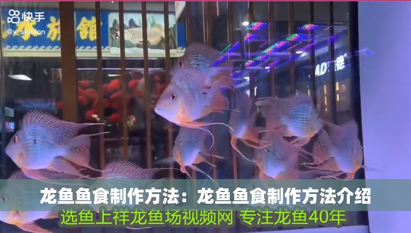 龍魚魚食制作方法：龍魚魚食制作方法介紹