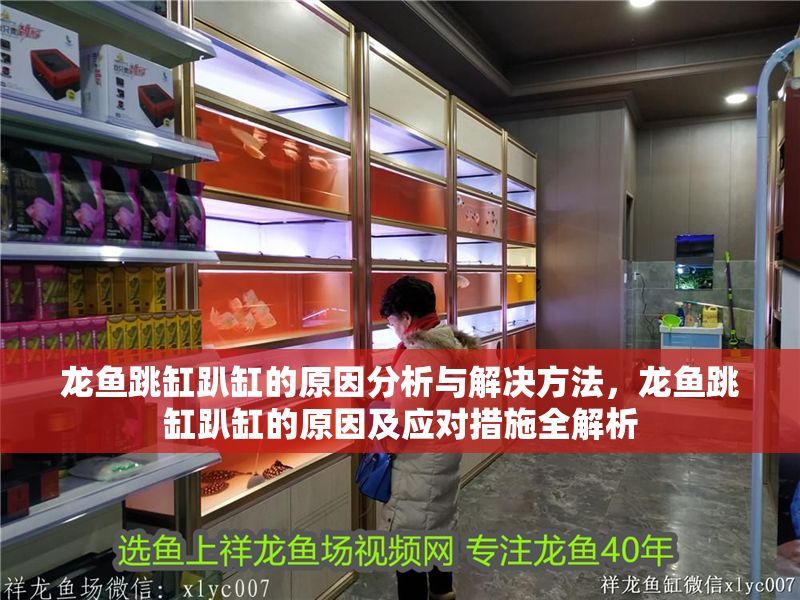 龍魚跳缸趴缸的原因分析與解決方法，龍魚跳缸趴缸的原因及應對措施全解析