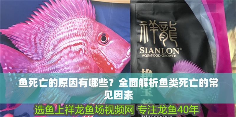 魚死亡的原因有哪些？全面解析魚類死亡的常見因素