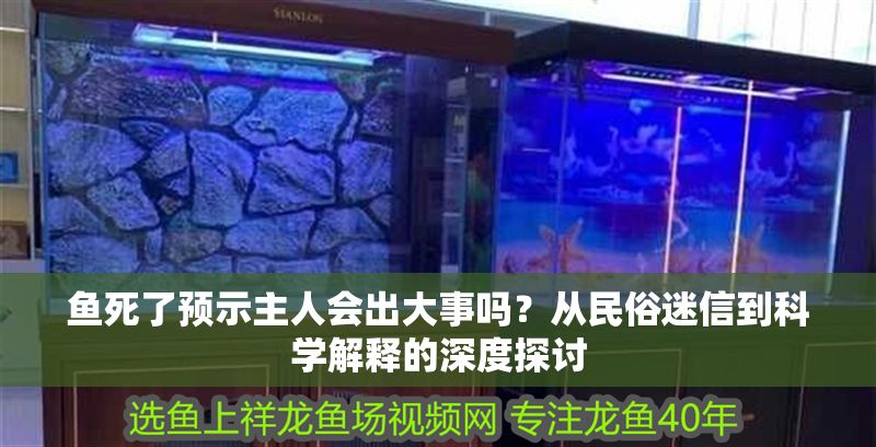 魚死了預示主人會出大事嗎？從民俗迷信到科學解釋的深度探討