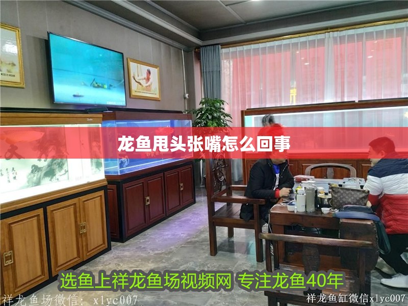 龍魚甩頭張嘴怎么回事