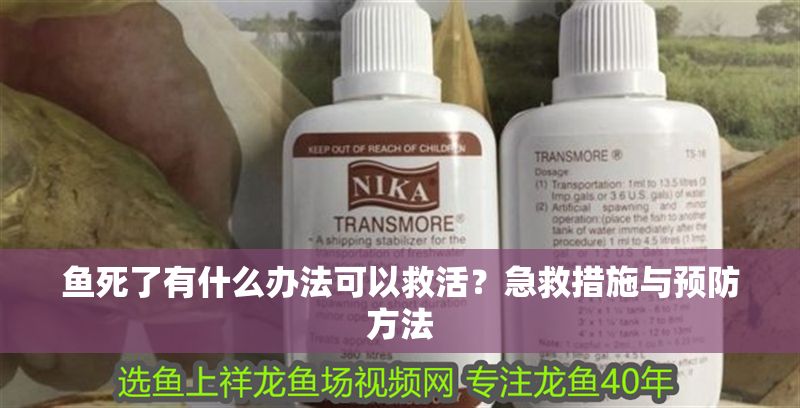 魚(yú)死了有什么辦法可以救活？急救措施與預(yù)防方法