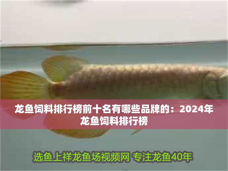 龍魚飼料排行榜前十名有哪些品牌的：2024年龍魚飼料排行榜