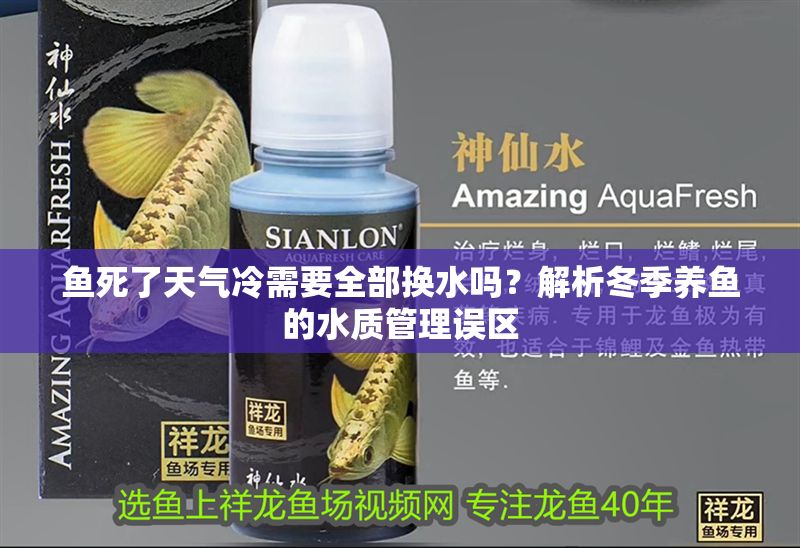 魚死了天氣冷需要全部換水嗎？解析冬季養魚的水質管理誤區