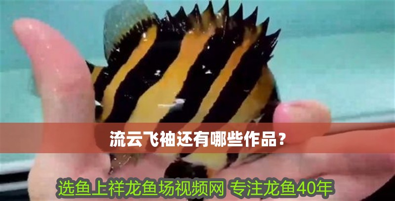 流云飛袖還有哪些作品？