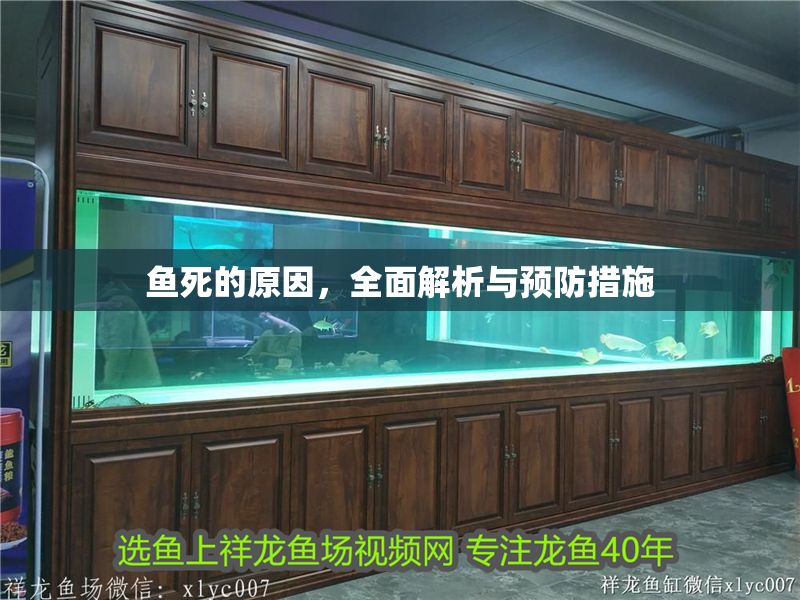 魚死的原因，全面解析與預防措施
