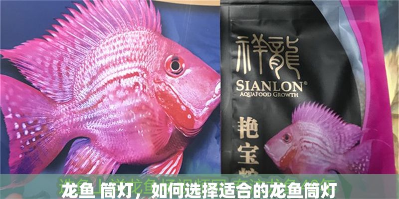 龍魚 筒燈，如何選擇適合的龍魚筒燈