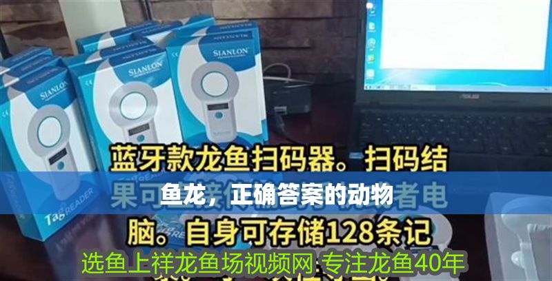 魚龍，正確答案的動物