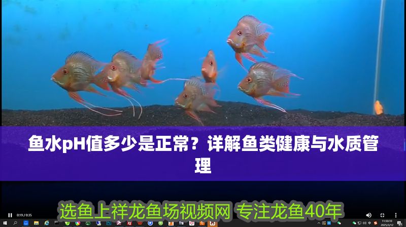 魚水pH值多少是正常？詳解魚類健康與水質管理