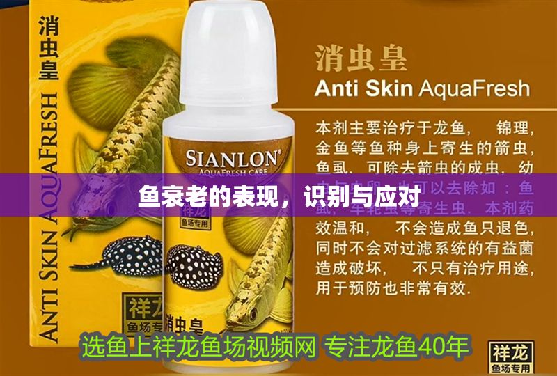 魚衰老的表現，識別與應對