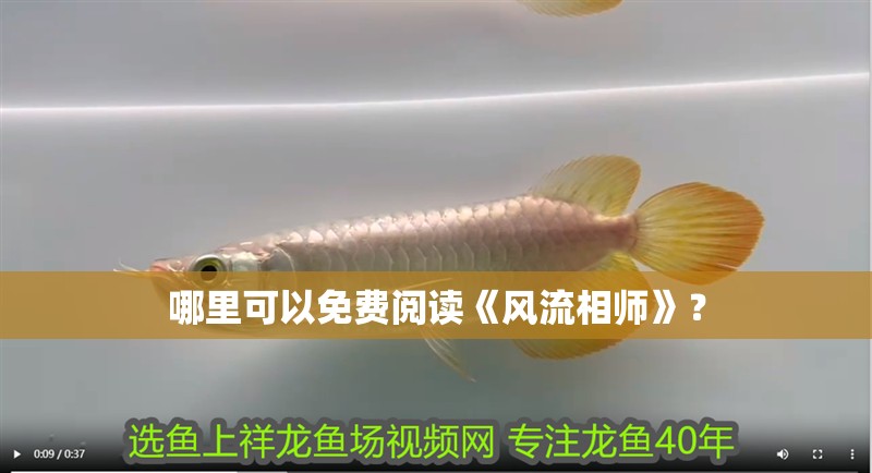 哪里可以免費閱讀《風流相師》？
