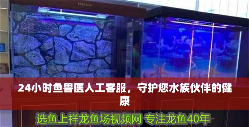 24小時(shí)魚獸醫(yī)人工客服，守護(hù)您水族伙伴的健康