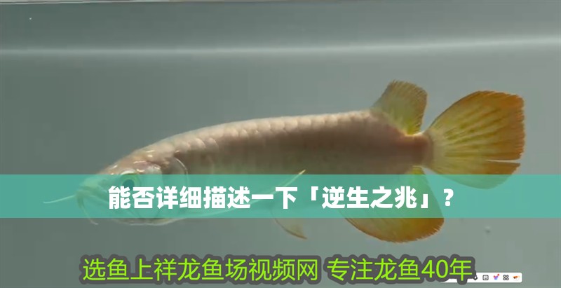 能否詳細描述一下「逆生之兆」？