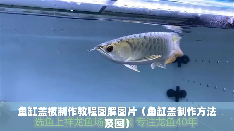 魚缸蓋板制作教程圖解圖片（魚缸蓋制作方法及圖）