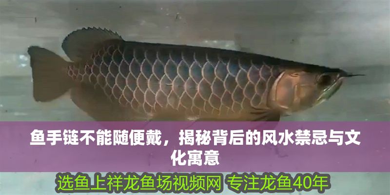 魚手鏈不能隨便戴，揭秘背后的風水禁忌與文化寓意