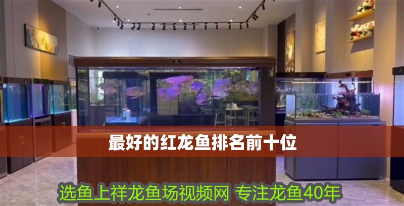 最好的紅龍魚排名前十位