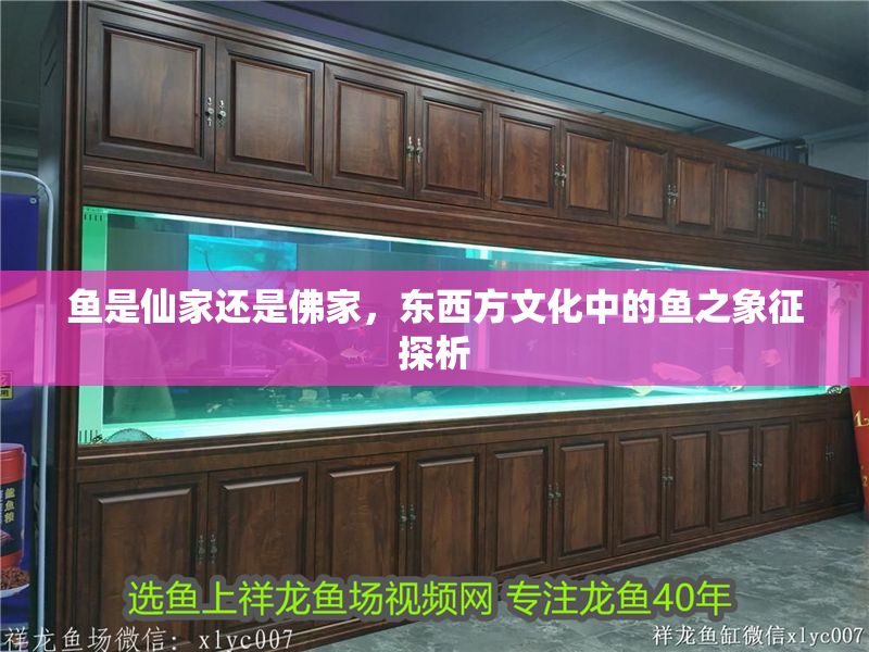 魚是仙家還是佛家，東西方文化中的魚之象征探析