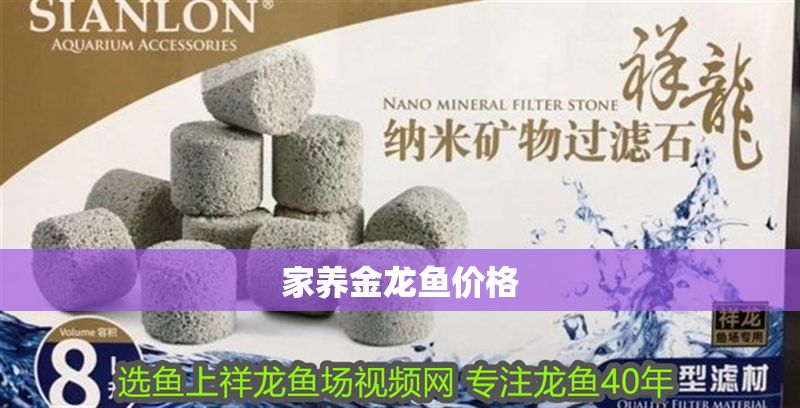 家養金龍魚價格