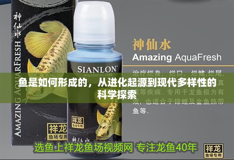 魚是如何形成的,從進(jìn)化起源到現(xiàn)代多樣性的科學(xué)探索 龍魚百科 第1張 魚是如何形成的,從進(jìn)化起源到現(xiàn)代多樣性的科學(xué)探索 魚是如何形成的,從進(jìn)化起源到現(xiàn)代多樣性的科學(xué)探索 龍魚百科 第1張