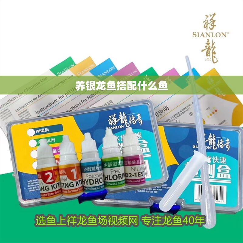 魚缸用增氧泵價格是多少:魚缸增氧機-xtrac增氧機-xtrac增氧機 養銀龍魚搭配什么魚 龍魚百科 養銀龍魚搭配什么魚 養銀龍魚搭配什么魚 龍魚百科