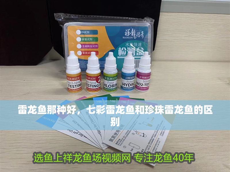 雷龍魚那種好，七彩雷龍魚和珍珠雷龍魚的區(qū)別