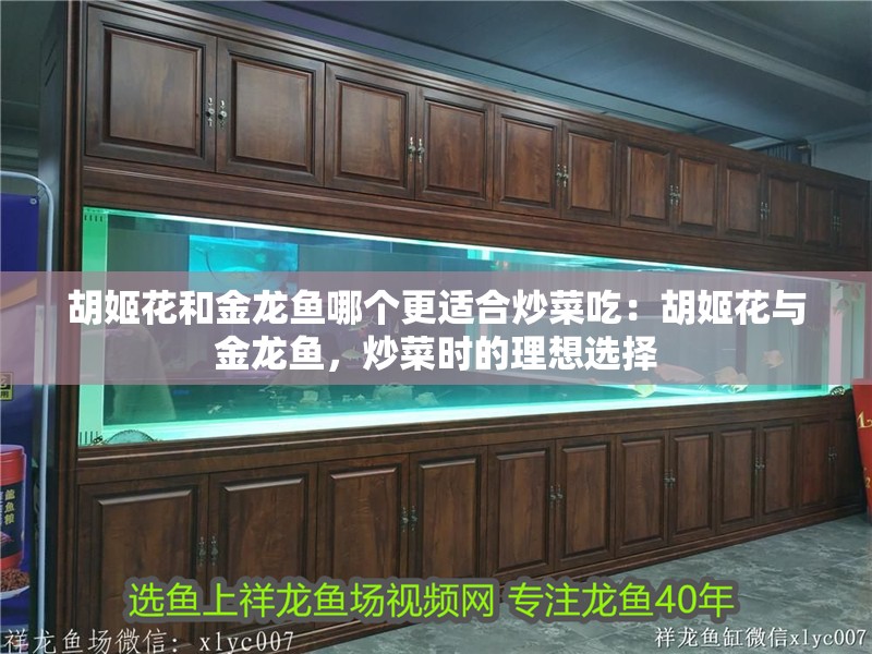 胡姬花和金龍魚哪個更適合炒菜吃：胡姬花與金龍魚，炒菜時的理想選擇