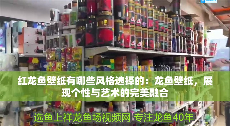 紅龍魚壁紙有哪些風格選擇的：龍魚壁紙，展現個性與藝術的完美融合