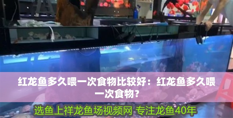 紅龍魚(yú)多久喂一次食物比較好：紅龍魚(yú)多久喂一次食物？