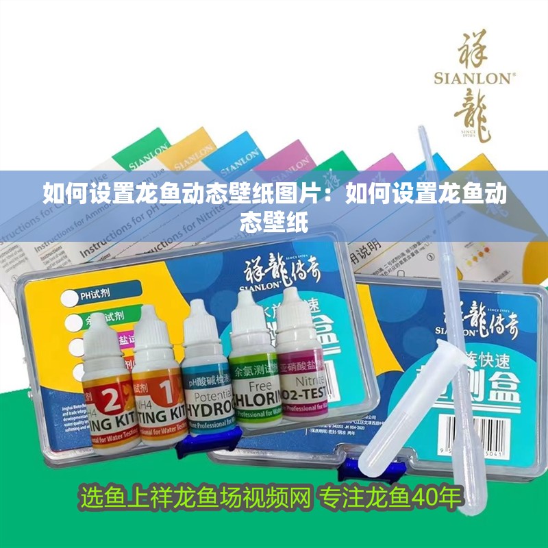 如何設置龍魚動態壁紙圖片：如何設置龍魚動態壁紙