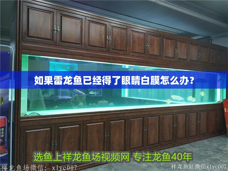 如果雷龍魚已經得了眼睛白膜怎么辦？