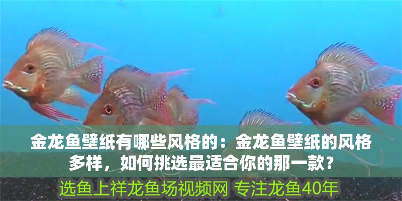 金龍魚(yú)壁紙有哪些風(fēng)格的：金龍魚(yú)壁紙的風(fēng)格多樣，如何挑選最適合你的那一款？