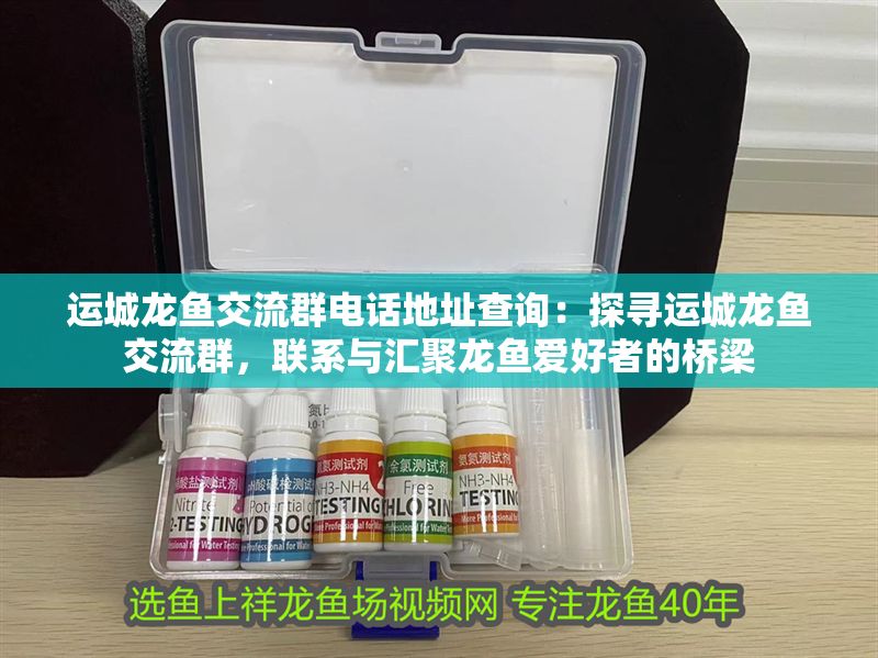 運(yùn)城龍魚交流群電話地址查詢：探尋運(yùn)城龍魚交流群，聯(lián)系與匯聚龍魚愛好者的橋梁